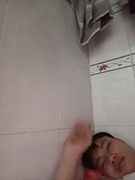 tung401 webcam