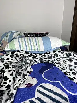 sandylau webcam