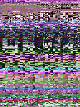Talaxe_7 webcam