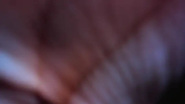 Funny_GirlsW webcam