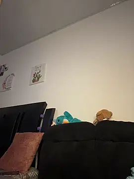 Zow_ webcam