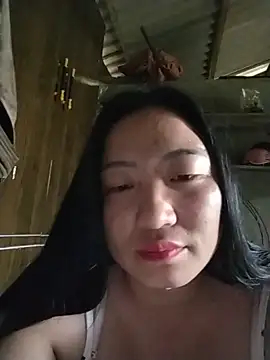zhen-zo webcam