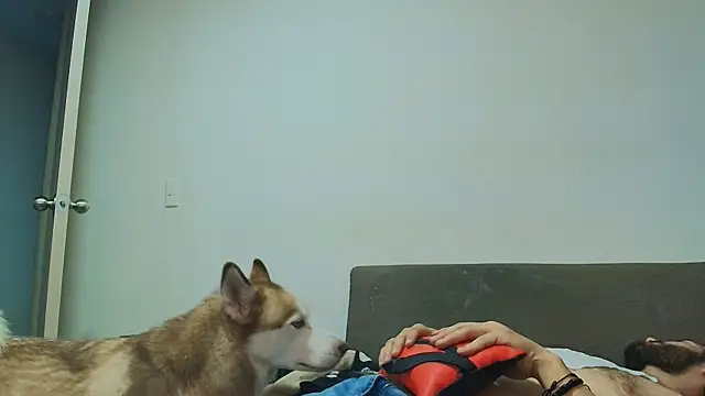 thomas_gun webcam