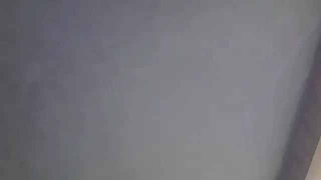 SkinnyKitten webcam