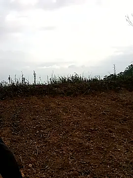 yaja-chan webcam