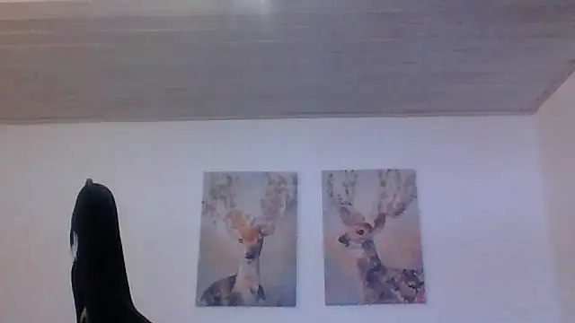 Gotta1 webcam