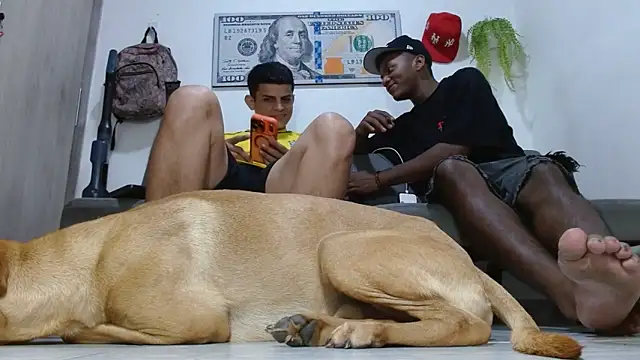 boss_of_cash webcam