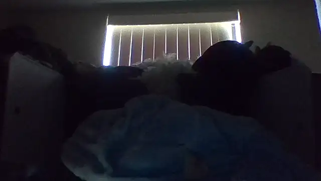 shag369 webcam