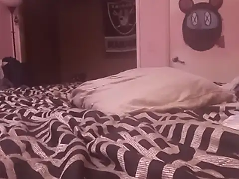 Blkstylion webcam