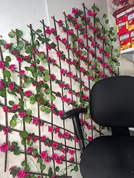 kitty__pinnk webcam