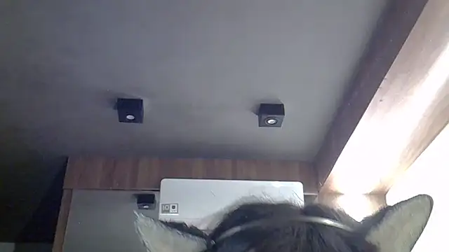 SkinnyKitten webcam