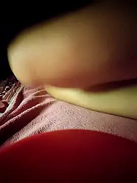-Tara-a webcam