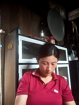 IORio_2X webcam
