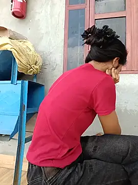 Hoa-tuylip webcam