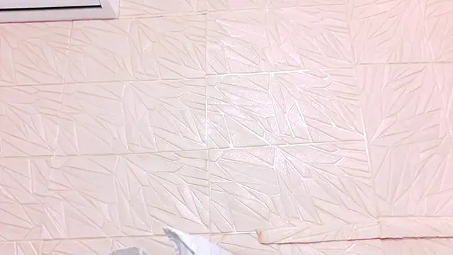 nina_bae webcam