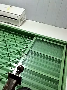 saraborges webcam