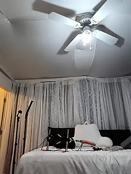 BaileyMFox