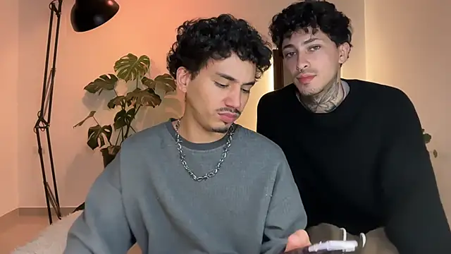 Noah_and_Steven webcam