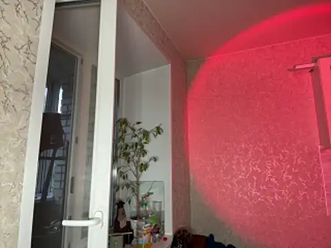 saint_cat25 webcam