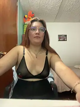 Vixroy7 webcam