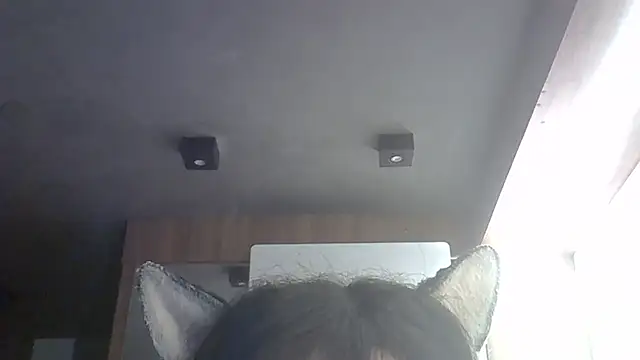 SkinnyKitten webcam