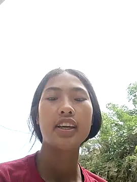 Hoa-tuylip webcam