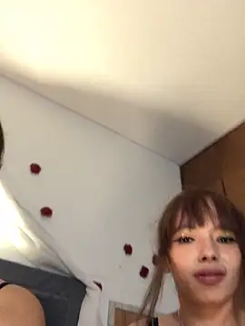 3littles webcam
