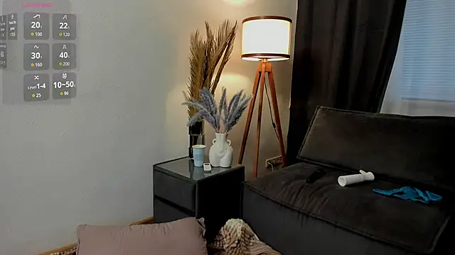 DelorisDetrich webcam