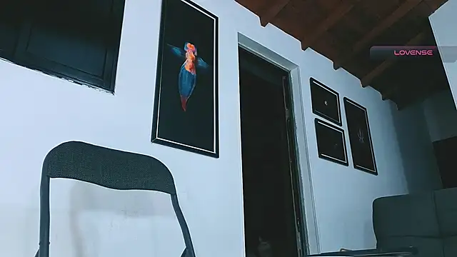 SilvaBranko webcam