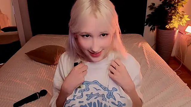 evlica webcam