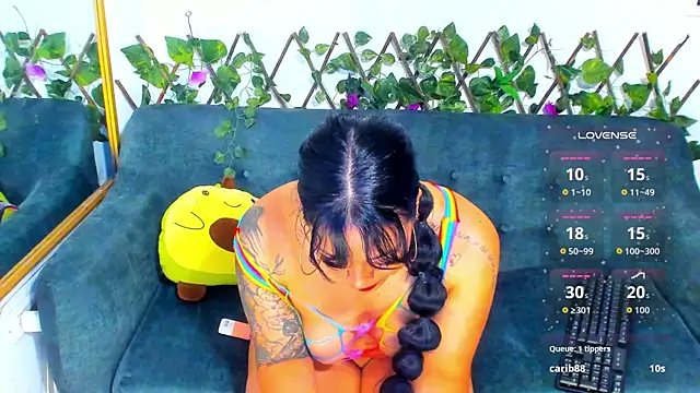 la_saris webcam