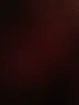 69_SINNS webcam