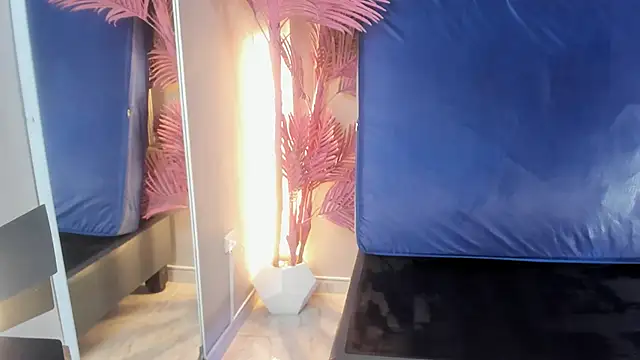 Nalapalmer webcam