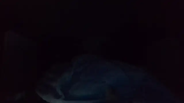 shag369 webcam