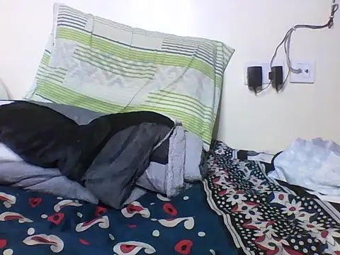 plittle2 webcam