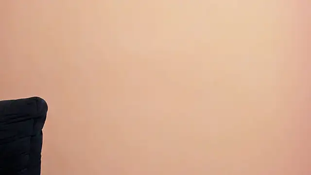 Tyler_Waka01 webcam