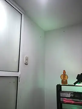 MelissaSam_ webcam