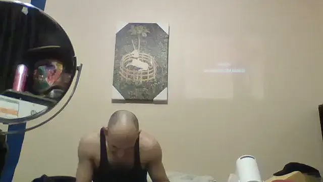 hailzeffn webcam