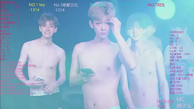 AAA-winner webcam