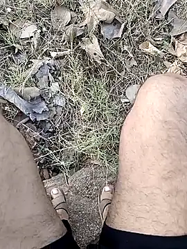 Forest_lover24 webcam