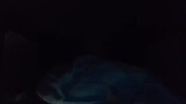 shag369 webcam