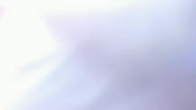 Extreme_Team8 webcam
