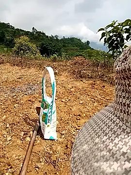 yaja-chan webcam