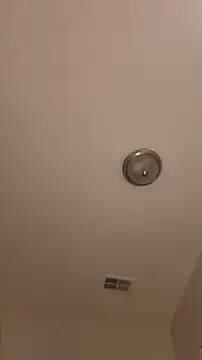 AllLeggs