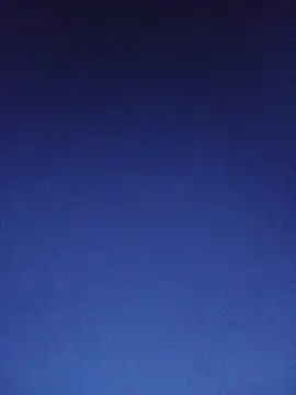 lilpip webcam