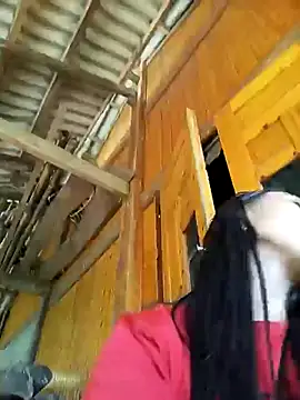 vtmbae webcam