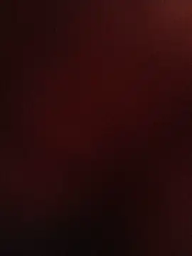 69_SINNS webcam