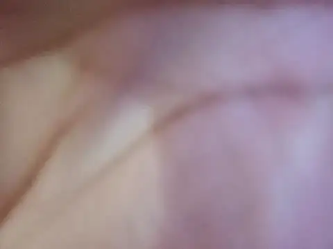 OtioseTagline webcam