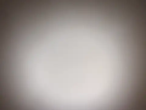 Nudeshowoff61 webcam