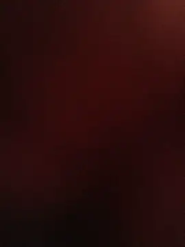 69_SINNS webcam